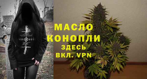 индика Видное