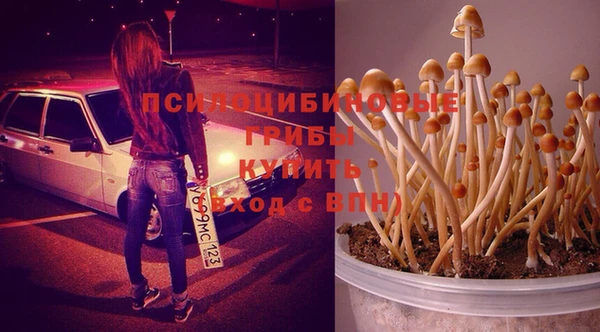 гашиш Пролетарск