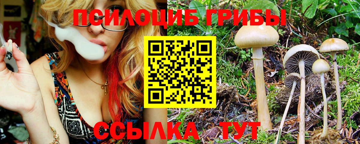 сколько стоит  Галлюциногенные грибы мицелий  Вход с VPN  Псилоцибиновые грибы мухоморы  Белгород 