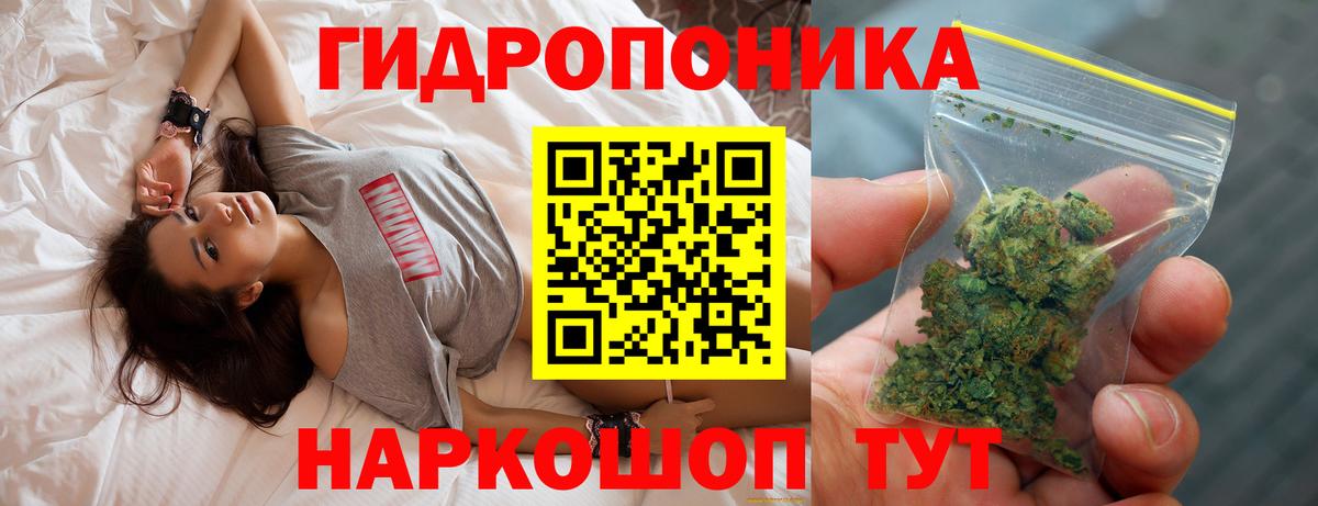 Шишки марихуана сатива  Конопля тримм  Белгород  Бошки Шишки марихуана  Марихуана MAZAR  Вход с VPN 